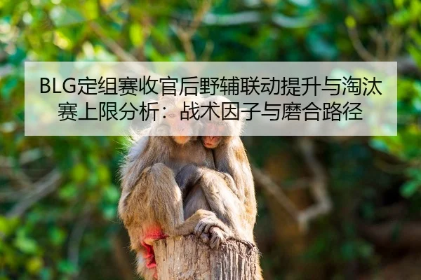 BLG定组赛收官后野辅联动提升与淘汰赛上限分析：战术因子与磨合路径