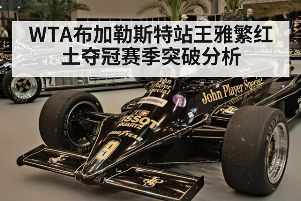 WTA布加勒斯特站王雅繁红土夺冠赛季突破分析